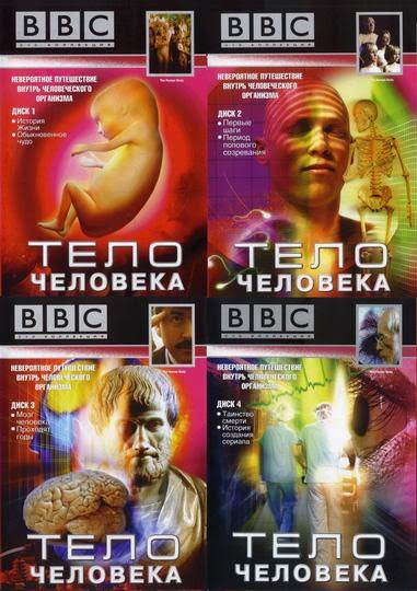 Anatomia ludzkiego ciała wideo | The anatomy of the human body video Anatomia ludzkiego ciała wideo | The anatomy of the human body video